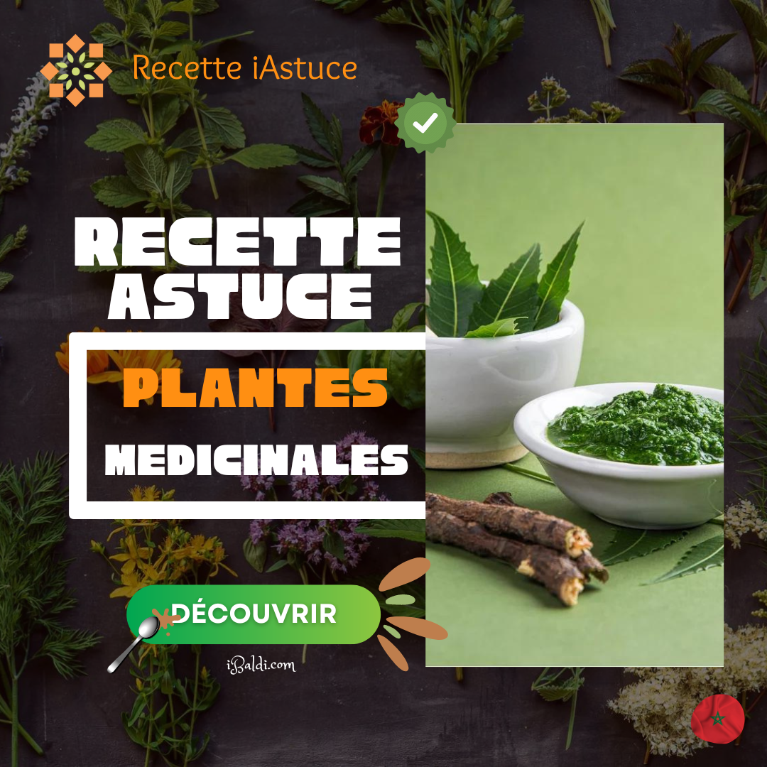 Utilisation des Plantes Médicinales dans les Remèdes Traditionnel